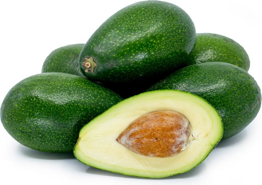 Organik Avokado